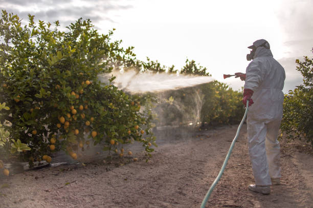 Best Mosquito Control Services  in Winston, OR