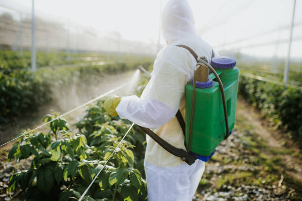 Best Best Pest Control Companies  in Winston, OR